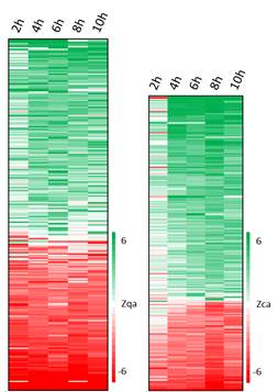 A comparison of a number of dna samples

Description automatically generated with medium confidence